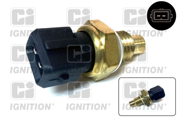 Sensor de temperatura do fluido de esfriamento Beru ST249