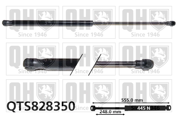 Amortecedor de tampa de porta-malas (de 3ª/5ª porta traseira) para Renault LOGAN II MCV K8