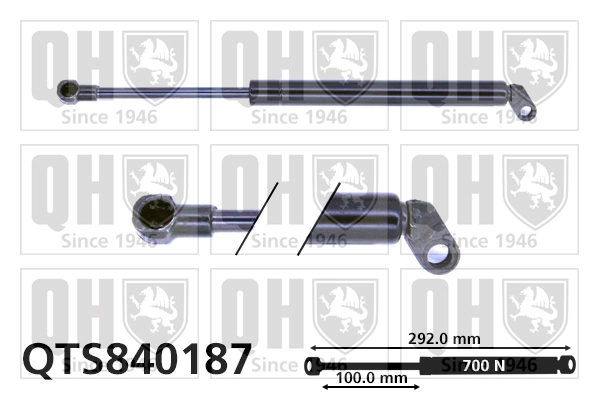 Compre Amortecedor de tampa de porta-malas (de 3ª/5ª porta traseira) BMW 7 
