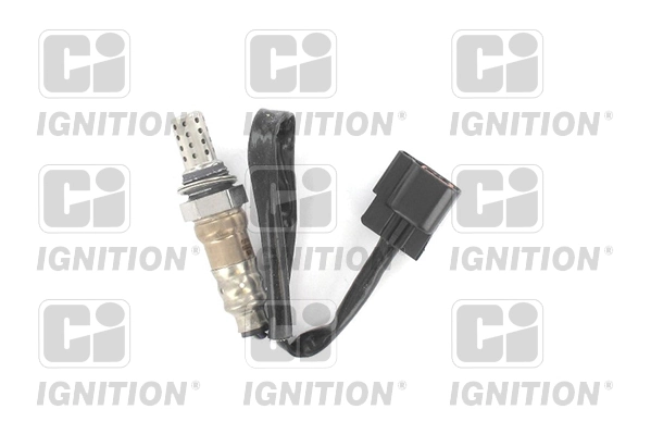 XLOS1177 QUINTON HAZELL