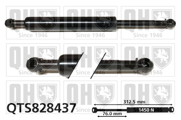 Amortecedor de tampa de porta-malas (de 3ª/5ª porta traseira) para Mercedes R  W251