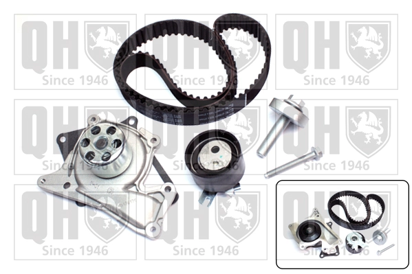 V4650029 VEMO/Vaico Correia do mecanismo de distribuição de gás, kit