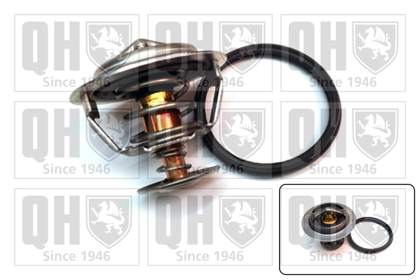 Termostato para Audi Q3  F3B