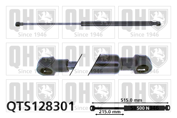 QTS128301 QUINTON HAZELL