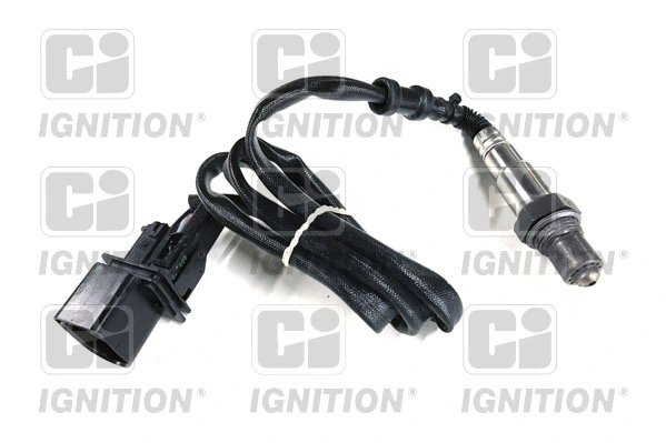 XLOS1758 QUINTON HAZELL