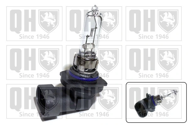 Compre LR044458 Land Rover Lâmpada halógena