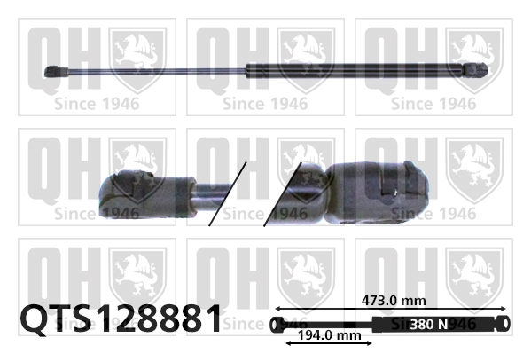 QTS128881 QUINTON HAZELL
