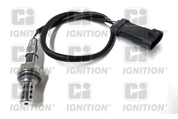 XLOS1664 QUINTON HAZELL