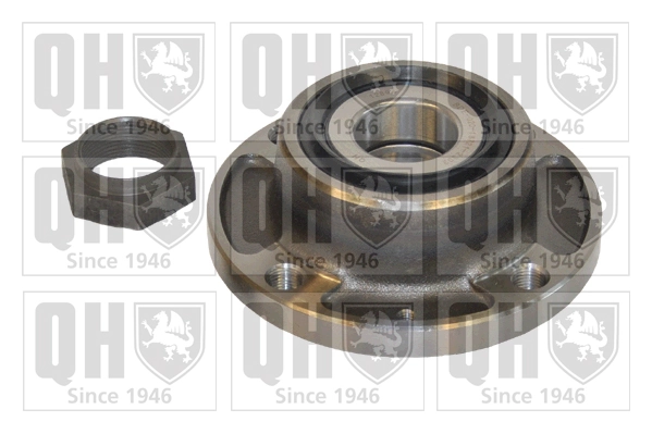 Cubo traseiro Massey Ferguson 51846087