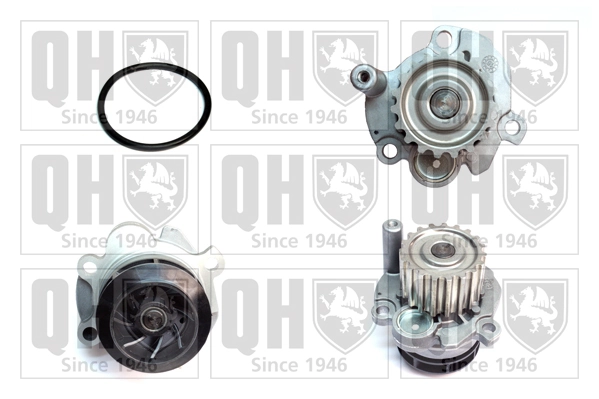 Compre 1637172880 Peugeot/Citroen Bomba de água (bomba) de esfriamento