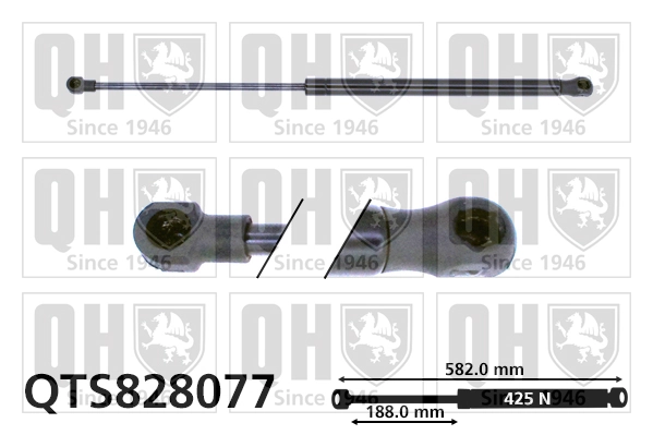 QTS828077 QUINTON HAZELL