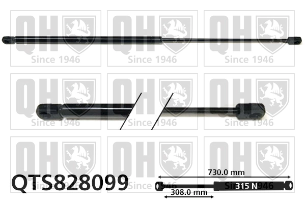 QTS828099 QUINTON HAZELL