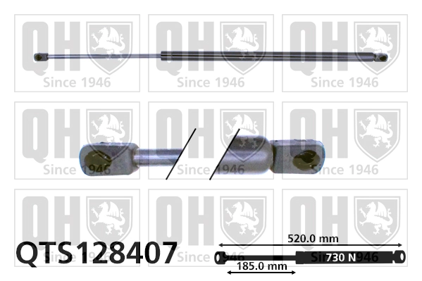 QTS128407 QUINTON HAZELL