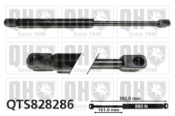 904507914R Renault (RVI) Amortecedor de tampa de porta-malas (de 3ª/5ª porta traseira)