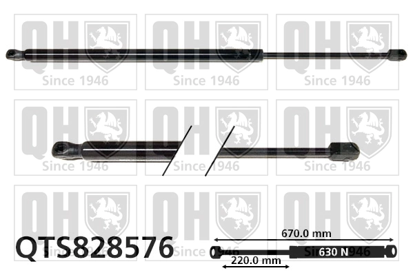 Amortecedor de tampa de porta-malas (de 3ª/5ª porta traseira) Peugeot/Citroen 9806879280