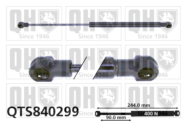 QTS840299 QUINTON HAZELL