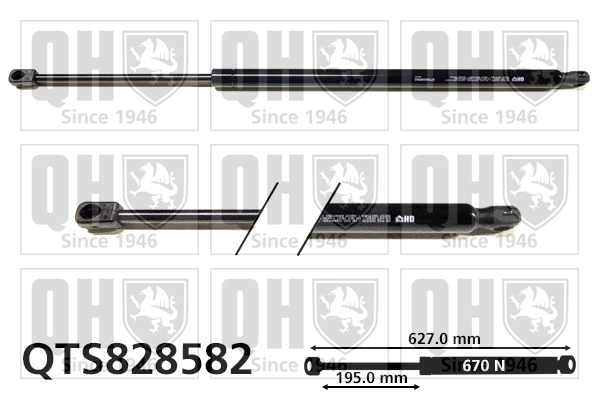 Amortecedor de tampa de porta-malas (de 3ª/5ª porta traseira) Volkswagen Tiguan Allspace  BW2, BJ2