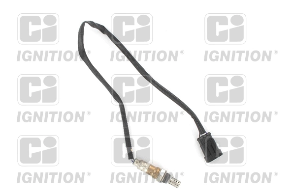XLOS1713 QUINTON HAZELL