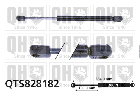 Compre GS1067 DP Group Amortecedor de vidro de porta-malas (de 3ª/5ª porta traseira (de tampa de alcapão)