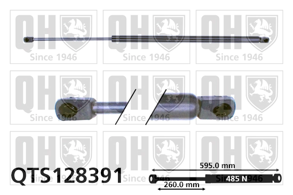 Amortecedor da capota Citroen Xsara  N1
