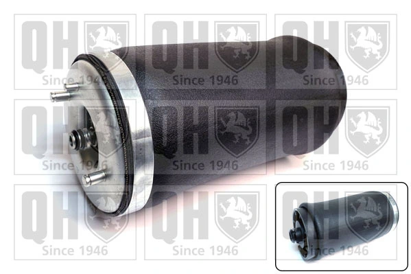 Compre REC10AS0004 Amity AP Coxim pneumático (suspensão de lâminas pneumática) do eixo traseiro