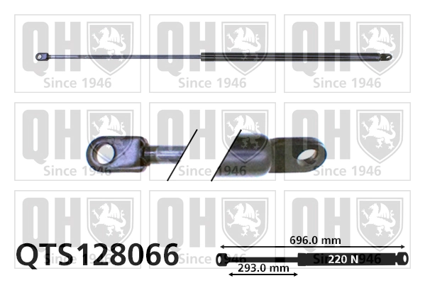 Amortecedor de tampa de porta-malas (de 3ª/5ª porta traseira) Seat Ibiza I 021A