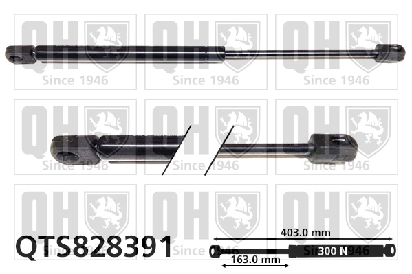 Compre GS0675 Magneti Marelli Amortecedor de tampa de porta-malas (de 3ª/5ª porta traseira)