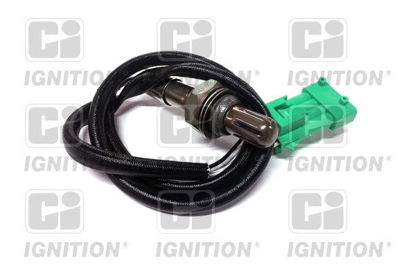 XLOS1058 QUINTON HAZELL