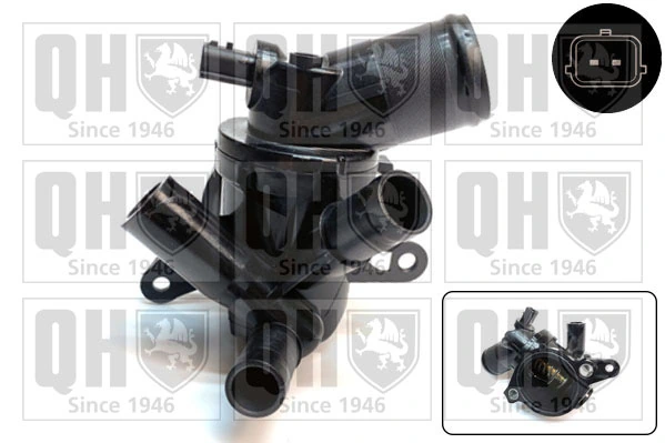 Compre 110617250R Renault (RVI) Termostato