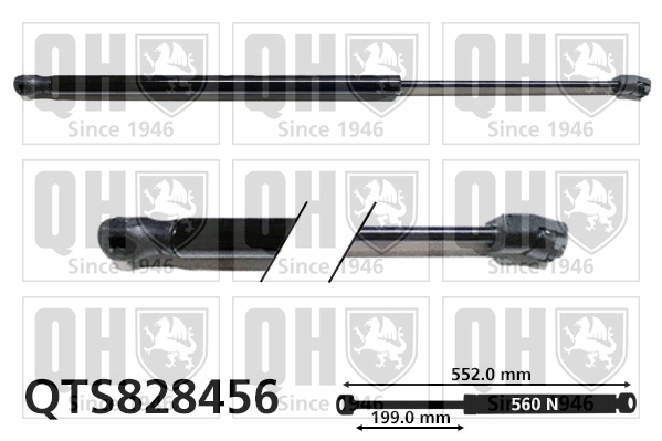 Amortecedor de tampa de porta-malas (de 3ª/5ª porta traseira) Bogap A5260140 preço, a partir de 18,69 USD