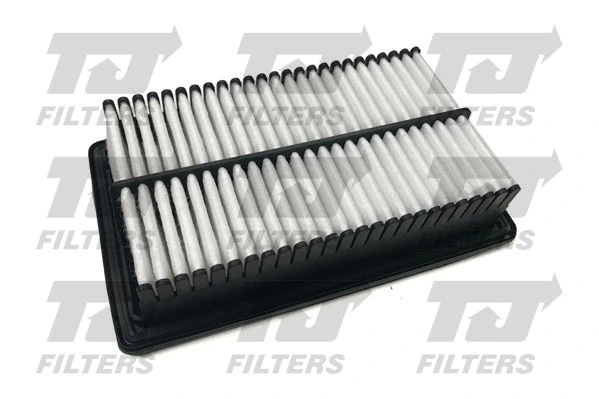 Compre 1667451580 Peugeot/Citroen Filtro de ar