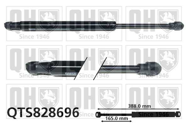  Amortecedor de tampa de porta-malas (de 3ª/5ª porta traseira) Audi A4 B8 sedan (8K2) (2007 - 2015) B8