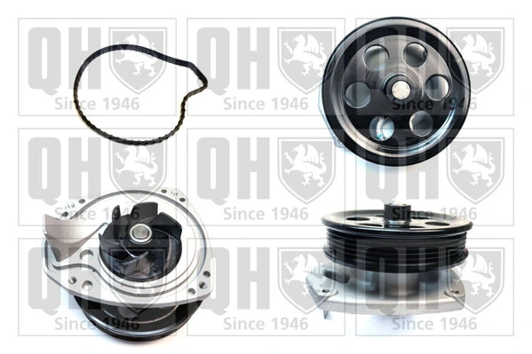 Compre 12663910 Peugeot/Citroen Bomba de água (bomba) de esfriamento
