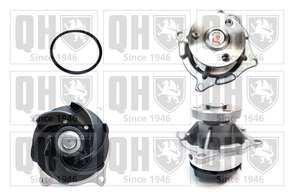Compre Bomba de água (bomba) de esfriamento Ford Escort 6