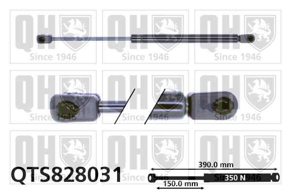  Amortecedor de tampa de porta-malas (de 3ª/5ª porta traseira) Chevrolet Aveo I hatchback (T200) (2003 - 2008) I