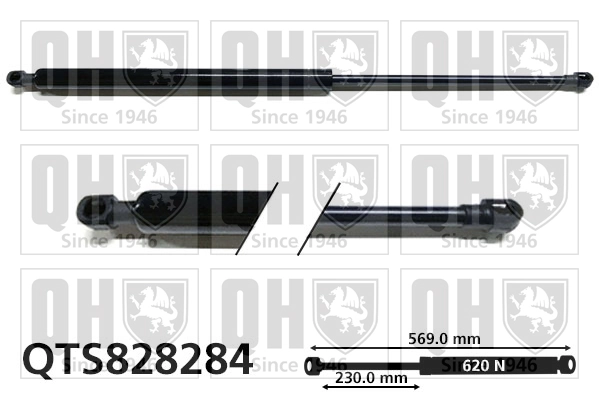 Amortecedor de tampa de porta-malas (de 3ª/5ª porta traseira) para Renault Laguna III KT0, KT1