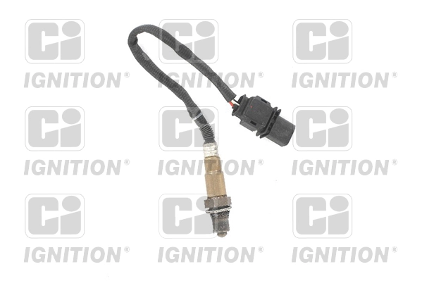 XLOS1813 QUINTON HAZELL