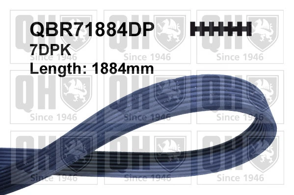 QBR71884DP QUINTON HAZELL