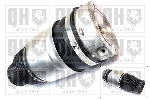 Compre REC60AS0021 Amity AP Coxim pneumático (suspensão de lâminas pneumática) do eixo dianteiro