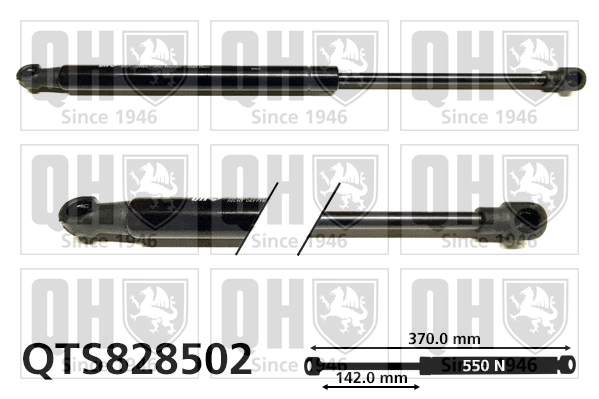 Amortecedor da capota Audi A4 B9 8W2, 8WC