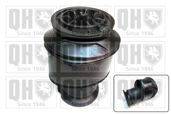 Compre F307512401 VAG Coxim pneumático (suspensão de lâminas pneumática) do eixo traseiro