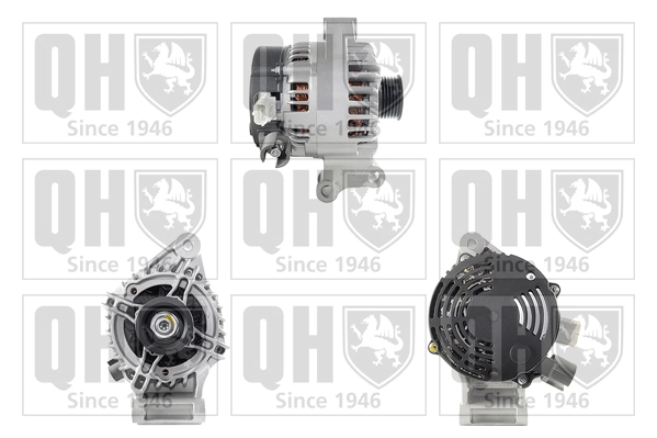 Compre MS1022118355 VAG Gerador