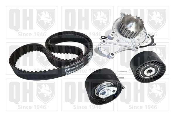Correia do mecanismo de distribuição de gás, kit 1276173J00 Peugeot/Citroen