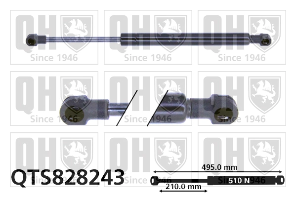 Compre Amortecedor de tampa de porta-malas (de 3ª/5ª porta traseira) Citroen C5 2