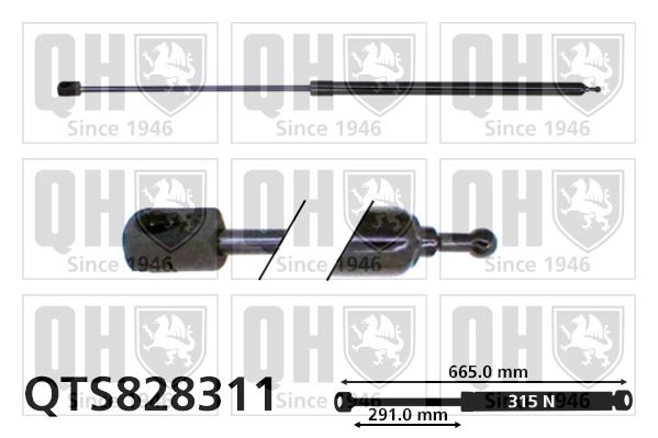Compre Amortecedor da capota Renault Megane 3
