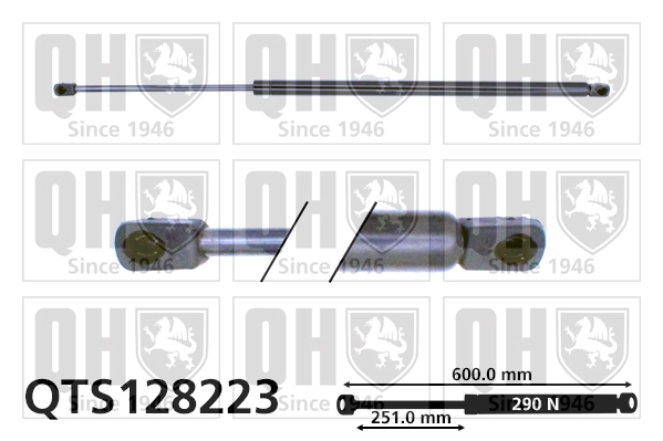 Amortecedor de tampa de porta-malas (de 3ª/5ª porta traseira) Peugeot/Citroen 873155