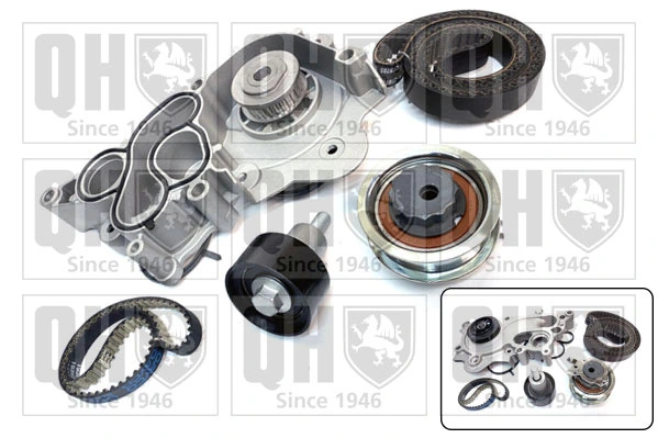 Correia do mecanismo de distribuição de gás, kit VKMC01281 SKF