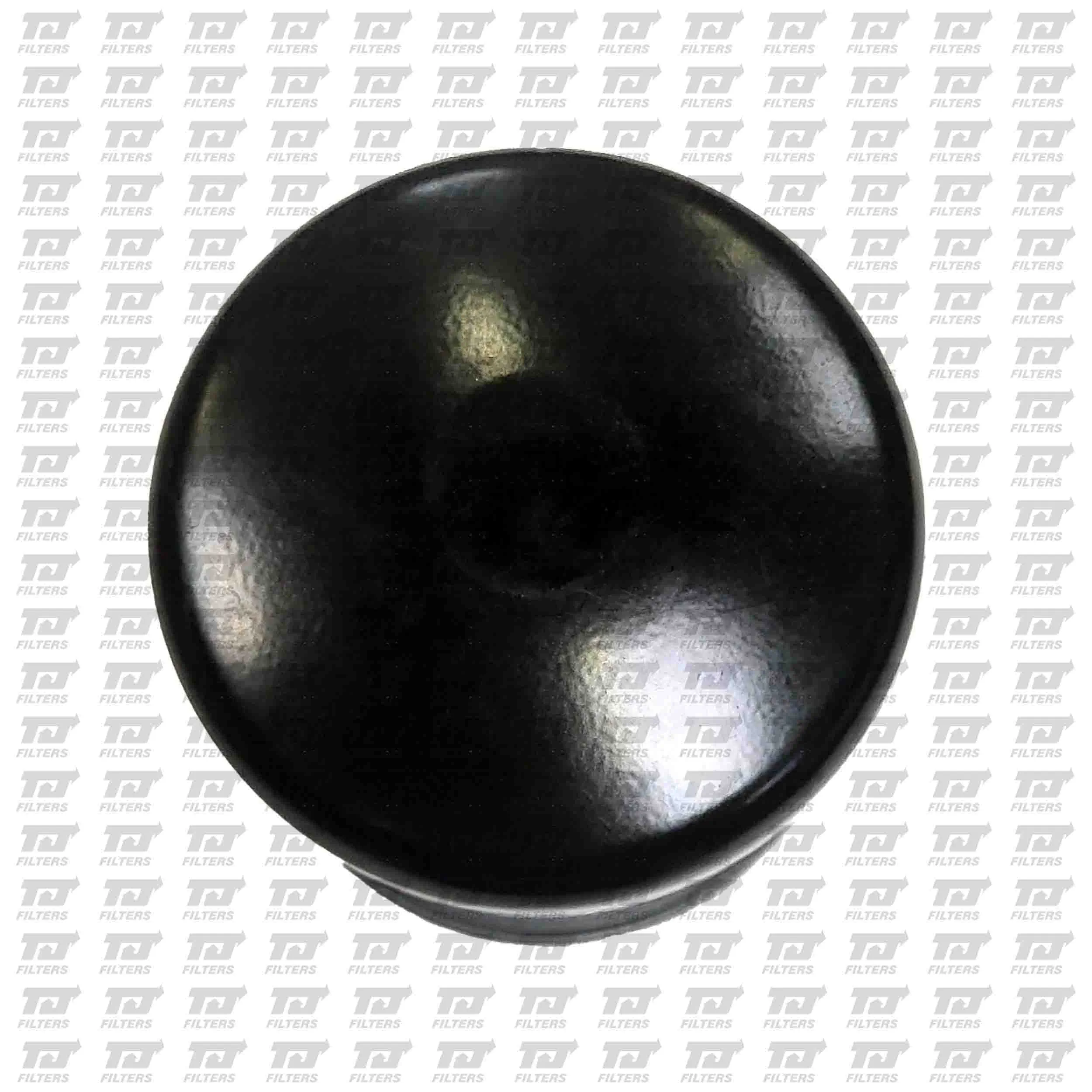 Compre 1643625780 Peugeot/Citroen Filtro de combustível
