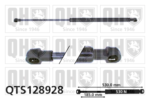 QTS128928 QUINTON HAZELL