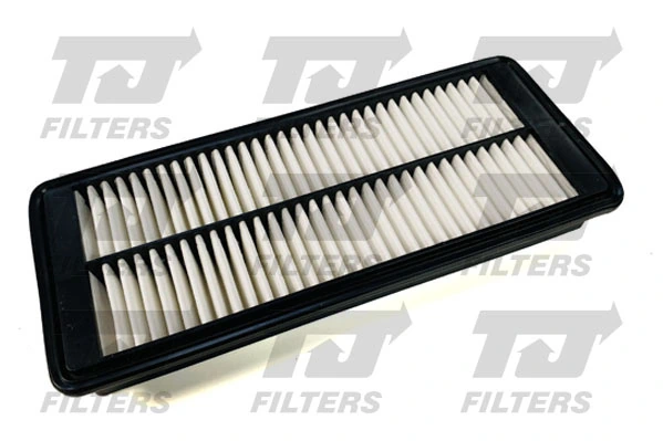 CA12075 Fram Filtro de ar